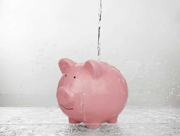 A pink piggy bank
